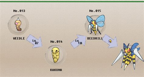 beedrill lv evolution|best beedrill evolution.